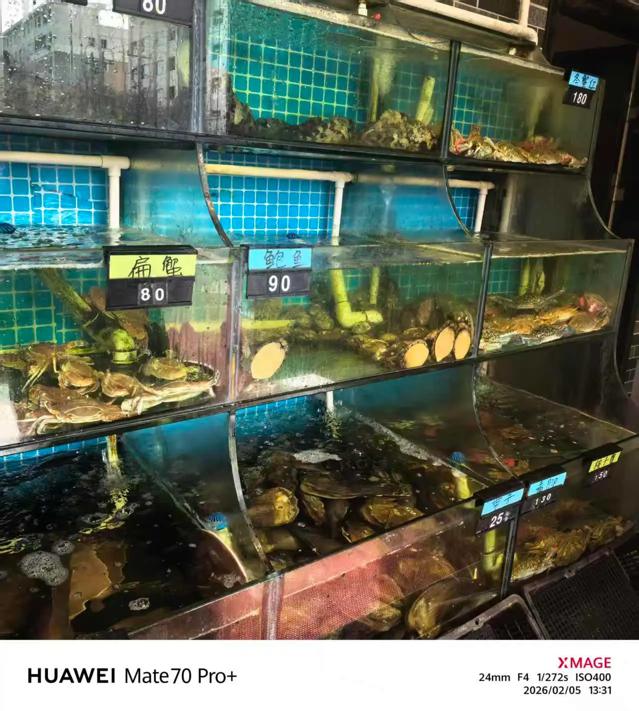 微信图片_20260205164608_595_19